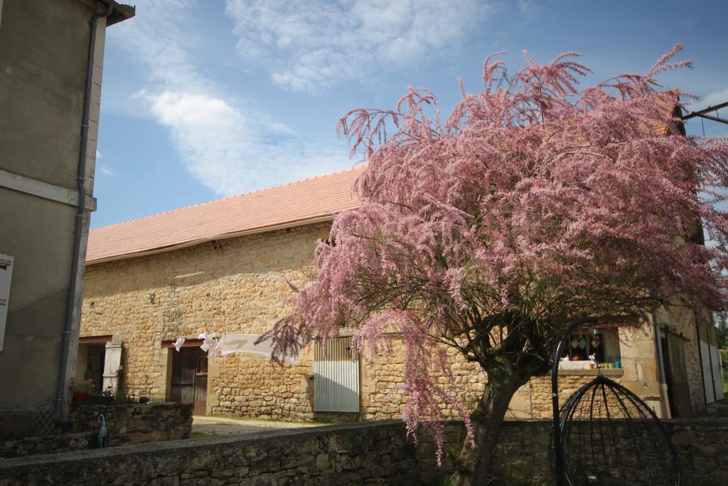 La Maison Du Bonheur Anlhiac Exterior foto